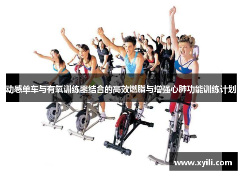 动感单车与有氧训练器结合的高效燃脂与增强心肺功能训练计划