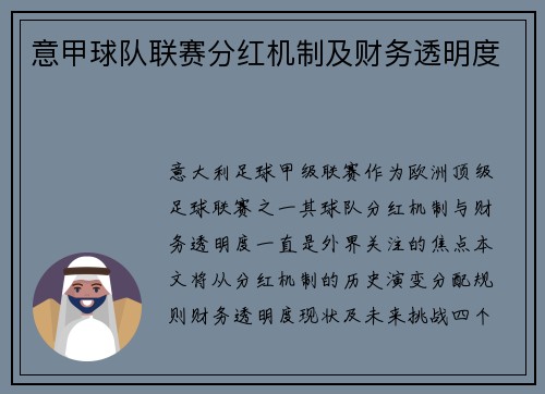 意甲球队联赛分红机制及财务透明度