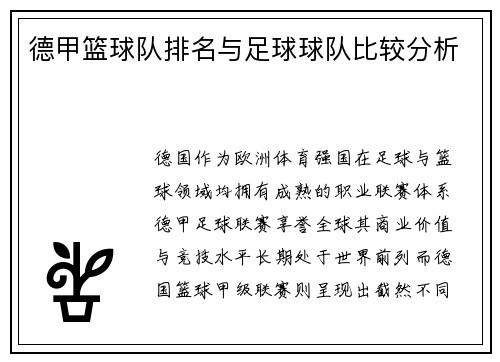 德甲篮球队排名与足球球队比较分析